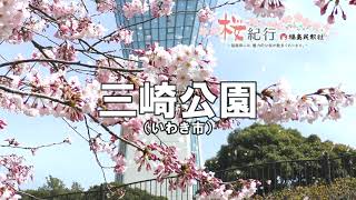 【ふくしま桜紀行】三崎公園　紹介動画