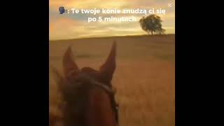 Te twoje konie znudzą ci się po 5 minutach #horse #hobby #animals #equestrian #love #like