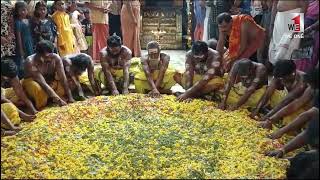 കുരട്ടിക്കാട് ശ്രീ മുത്താരമ്മൻ ദേവീക്ഷേത്രത്തിലെ ഉതൃട്ടാതി മഹോത്സവം മഞ്ഞൾ നീരാട്ടോടെ  സമാപിച്ചു