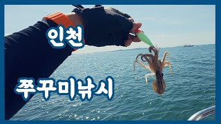 인천 남항 시간배 쭈꾸미 낚시