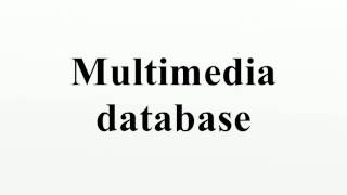 Multimedia database