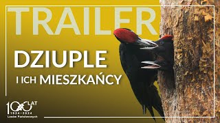 Dziuple i ich mieszkańcy - TRAILER