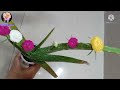 portulaca grafting on aloe vera parasitic moss rose