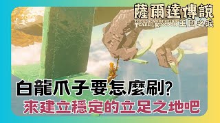 【薩爾達傳說 王國之淚】白龍的爪子與牙齒碎片要怎麼穩定刷