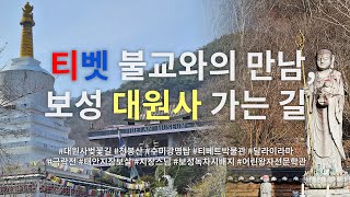 Korean History of Temples | #14 | Daewonsa [Temple-stay available] | Boseong-gun