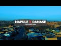 Mapule Feat Damase Siyafanelana Officiala Music Video