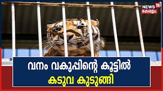 Wayanad ചുള്ളിയോട് തൊവരിമലയിൽ വനം വകുപ്പ് സ്ഥാപിച്ച കൂട്ടില്‍ കടുവ കുടുങ്ങി | Kerala News