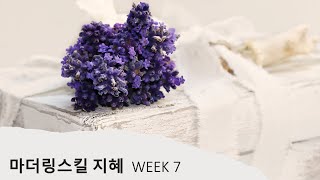 마더링 스킬 지혜 7