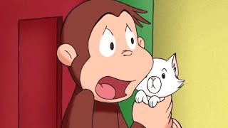 Curious George 🐵Monkey Fever  🐵 Kids Cartoon 🐵 Kids Movies | Videos for Kids