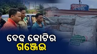 Ganga Of Worth 1.5 Crore Seized In Jeypore Of Odisha || KalingaTV