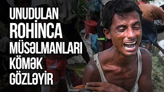 Unudulan Rohinca müsəlmanları kömək gözləyir...