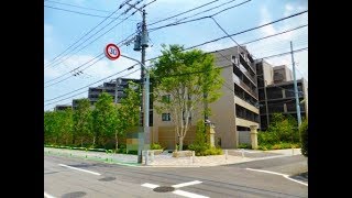 ウエリス世田谷砧（世田谷区砧 小田急線 祖師ヶ谷大蔵駅 中古マンション）仲介手数料無料～世田谷フロンティア