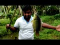 കരിപ്പിടി മീനിനെ പിടിക്കാം how to catch climbing gourami fish malayalam fishing