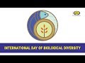 International Day for Biological Diversity