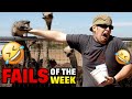 Hilarious Fails Of The Week: Guaranteed Laughs With Every Clip! | ODDLYWATCHED