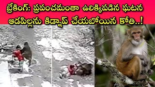 Monkey tries kidnapping Girl Child || కోతులతో జాగ్రత్త, మృగాల కన్నా దారుణంగా తయారవుతున్నాయి...