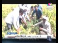 agrowon success story of parbhani based sandeep shinde s zero budget natural farming