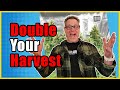 This ONE Grow Tip Can Double the Cannabis You Harvest Each Year