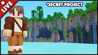 🔴 Last Stream for Little | SECRET PROJECT