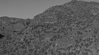 Sabino Canyon • Granite Guardians