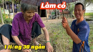 Bà hai làm cỏ kiếm tiền ăn Tết