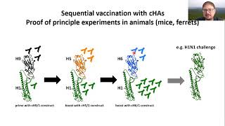HA Stalk and NA‐Based Next Generation Influenza Virus Vaccines