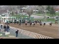 Race 6 330 Yards - Maiden Frolic Trials Sponsored by Wyoming Downs Racetrack