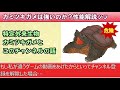 【プリコネr】星６ヨリガチ解説＆プリンセスアリーナ攻め編成！！攻守最強の姉の検証と３周年限定キャラの