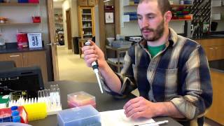 Pipetting 101