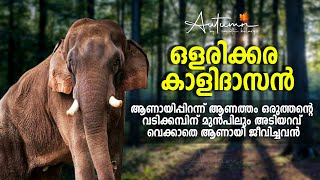 ഒളരിക്കര കാളിദാസൻ I Olarikkara kalidasan life story