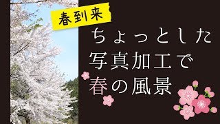 【自称中級者撮影】 ちょっとした写真加工で春の風景  Spring landscape 桜 花見 カメラ 初心者 一眼レフ