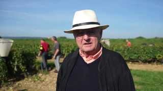 Olivier LeFlaive Vineyard Pelugney Montrachet 2013