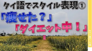 【初心者向け】タイ語のスタイル表現①