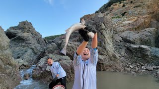 突然涨潮，阿峰跳进半米深水中连抓大鱼，经验丰富的小明佩服不已