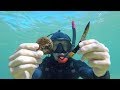 Found knife, Jewellery, Cash (Deadly Weapon) Underwater Metal Detecting after Storm