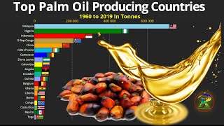 World's Largest Palm Oil Producing Countries 1960-2019