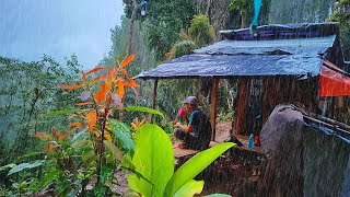 Mencekam Hujan Deras Dari Sore Hingga Malam - Tidur Dipondok Hutan Sendirian - Mengurus kebun