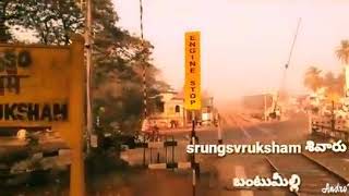 My village srungavruksham- Bantumilli