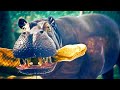 The Most Brutal Animal Fights! - Prehistoric Beasts fight in Ancestors: The Humankind Odyssey