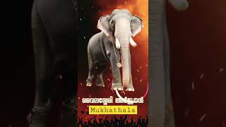 🙏Mukhathala Sree Krishna Swamy🙏#8thDay🕉️ #lord_krishna💛#mukhathala #kerala🧡#kollam✨#entry🥳#elephant