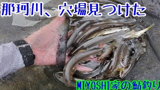 [鮎釣り]那珂川穴場見つけました⤴️多分