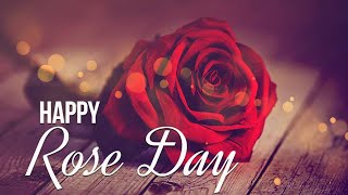 Rose Day Status | Valentine's Day Special | Rose day 2021 | Valentine's Day Week | Love Day
