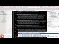 iOS Swift Development Tips and Tricks : Parsing JSON File