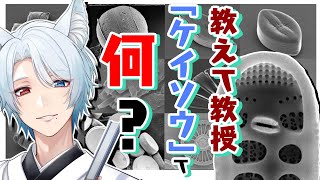 【パパは現役大学教授…！？】第一回：研究内容について聞いてみよう【湯川薫】