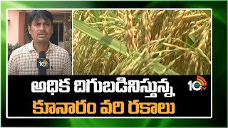 అధిక దిగుబడినిస్తున్న కూనారం వరి రకాలు| KNM 118 High Yielding Paddy Variety | Matti Manishi | 10TV