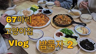 (2025년2월23일) 67마리 고양이집 Vlog - 밥묵자 2탄 철장문 바꾸고 꿀잠