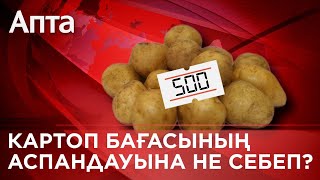 Картоп бағасының аспандауына не себеп?