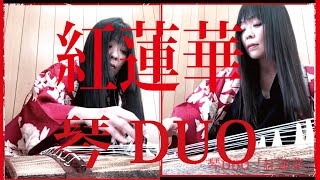 【鬼滅の刃OP】紅蓮華　琴（箏）DUO　大平光美編曲