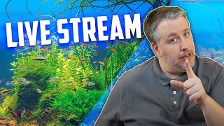 Automate your Fish Growth Live Podcast - WEDNESDAY 4PM PACIFIC/ 7PM EASTERN Episode 277