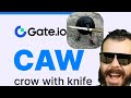 Crow With Knife Token | $CAW Listed On Gate.io